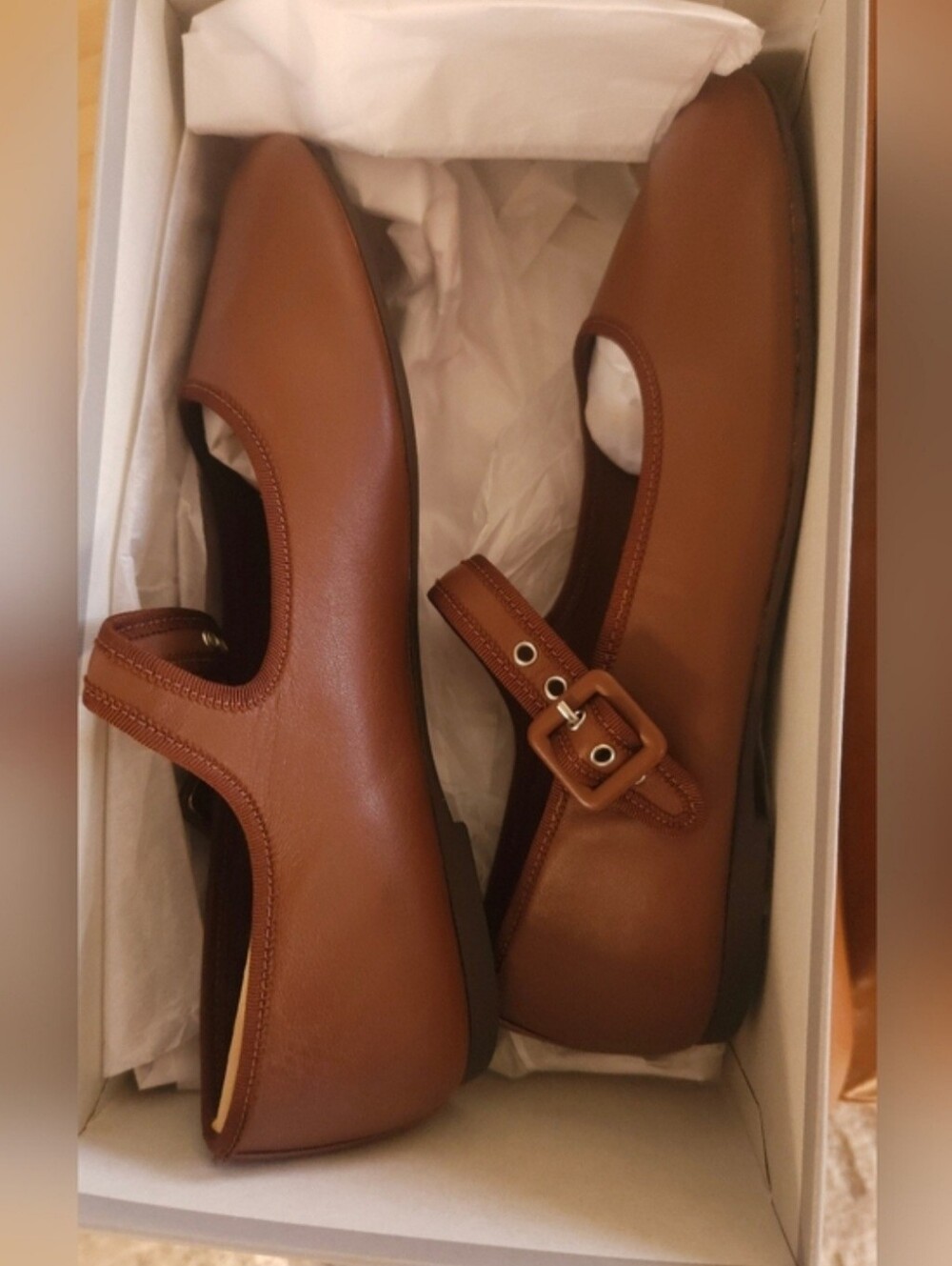 Everlane Mary-Jane Flat